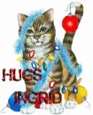 INGRID