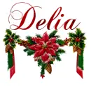 Delia poinsettia