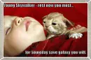 funny cat