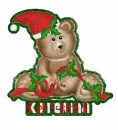 Xmas bear with Katerina name