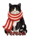 Teresa