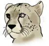 Cheetah Pixel