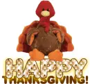 Happy Thanksgiving!