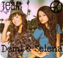 team demi and selena