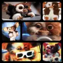 gizmo gremlins