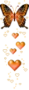 red-orange butterfly