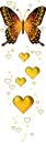 orange-yellow butterfly