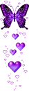 light-purtple butterfly