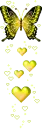 yellow butterfly