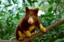 CUTE!!!!!