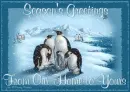 Penguin Seasons 