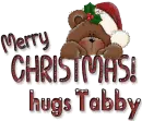 Merry Christmas- hugs Tabby