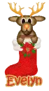 Evelyn