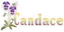 Candace