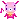 mini pig