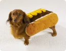 oh my hot dog!
