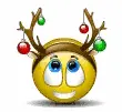Reindeer Smiley Face!