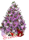 Sierra, girls tree pink