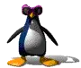Penguin Dancing