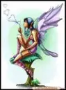 Fairy!