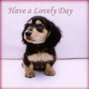 have a lovely day
