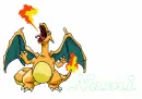 nami charizard 