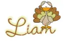 Liam... cute turkey