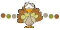 Cute Turkey