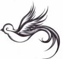 bird