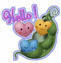 Hello