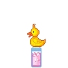 Duck Bubbles