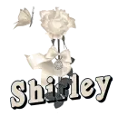 Shirley