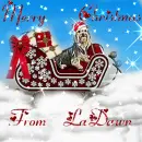 LADAWN