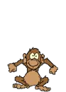 jumping monkey