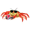 Crab