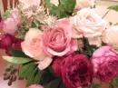 pink flowers
