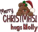 Merry Christmas- hugs Molly