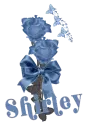 Shirley