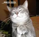 God Father Kitty...Proceed...