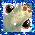 SQUIRT