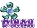 Dinah gem flowers