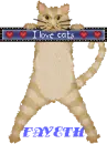 CAT BLINKIE I LOVE CATS