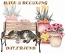 CAT SLEEPING ON BENCH