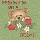 TEDDY BEAR PEEKING OVER STAWBERRIES