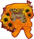 Fall Flower's