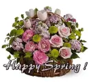 Happy Spring