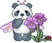 panda pink