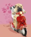 on bike