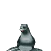 Seal