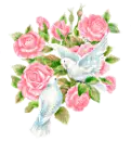 pink roses